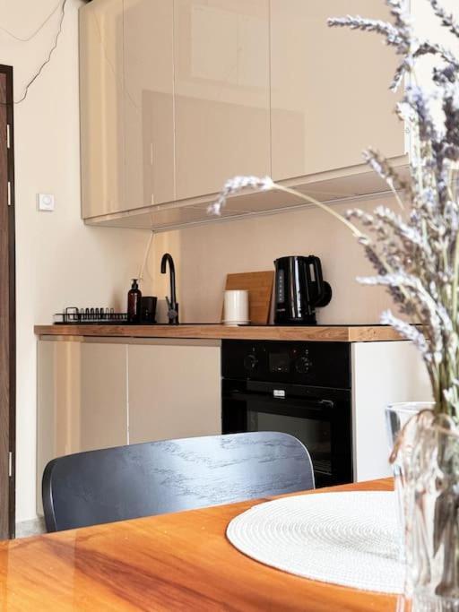 Unique Apartment City Center ヴロツワフ エクステリア 写真